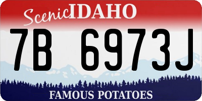ID license plate 7B6973J