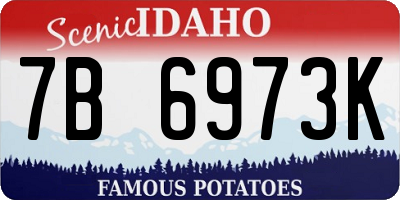 ID license plate 7B6973K