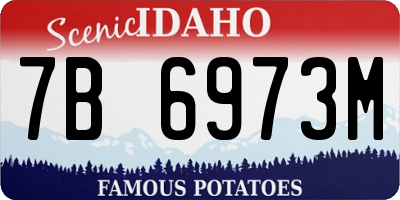 ID license plate 7B6973M
