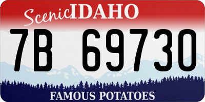 ID license plate 7B6973O