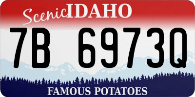 ID license plate 7B6973Q