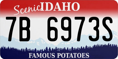 ID license plate 7B6973S