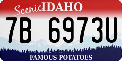 ID license plate 7B6973U