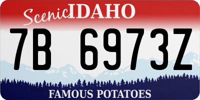 ID license plate 7B6973Z
