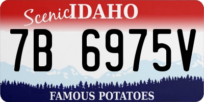 ID license plate 7B6975V
