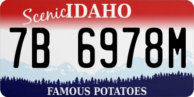 ID license plate 7B6978M
