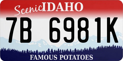 ID license plate 7B6981K