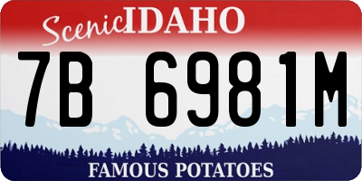 ID license plate 7B6981M