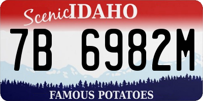 ID license plate 7B6982M