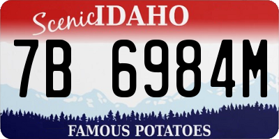 ID license plate 7B6984M