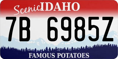 ID license plate 7B6985Z