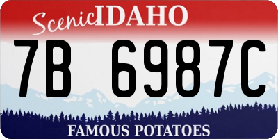 ID license plate 7B6987C