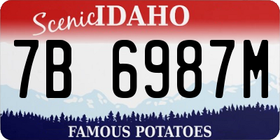 ID license plate 7B6987M