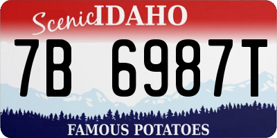 ID license plate 7B6987T