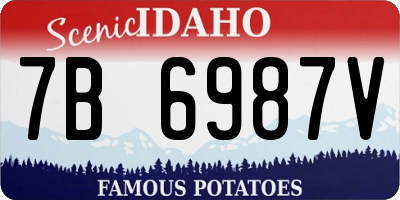 ID license plate 7B6987V