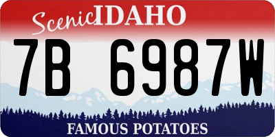 ID license plate 7B6987W