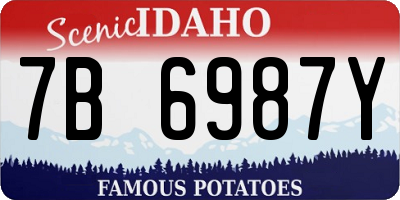 ID license plate 7B6987Y