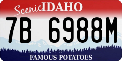 ID license plate 7B6988M