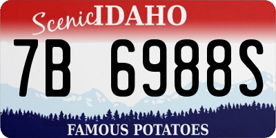 ID license plate 7B6988S