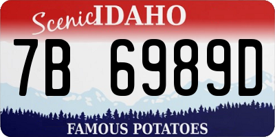 ID license plate 7B6989D