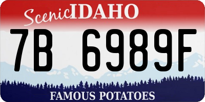ID license plate 7B6989F