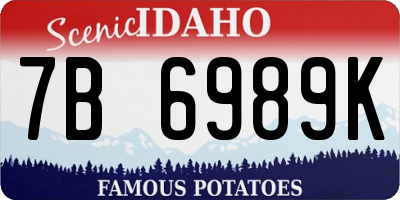 ID license plate 7B6989K