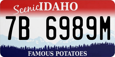 ID license plate 7B6989M