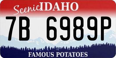 ID license plate 7B6989P