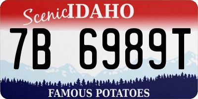ID license plate 7B6989T