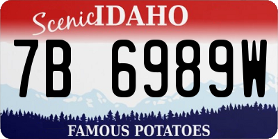 ID license plate 7B6989W