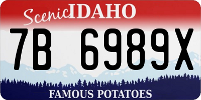 ID license plate 7B6989X