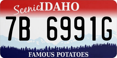 ID license plate 7B6991G