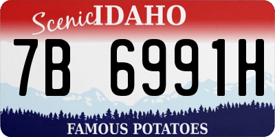 ID license plate 7B6991H