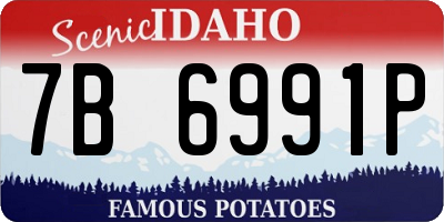 ID license plate 7B6991P