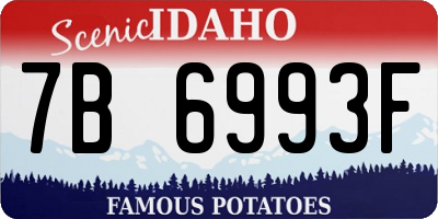 ID license plate 7B6993F