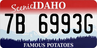 ID license plate 7B6993G