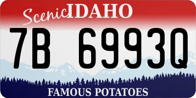 ID license plate 7B6993Q