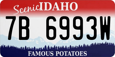 ID license plate 7B6993W