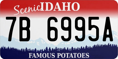 ID license plate 7B6995A