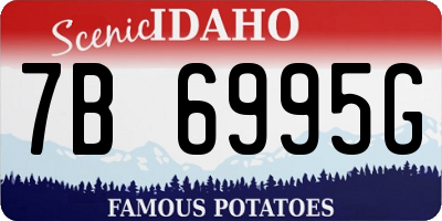 ID license plate 7B6995G