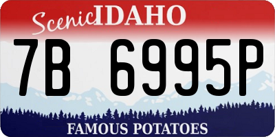 ID license plate 7B6995P