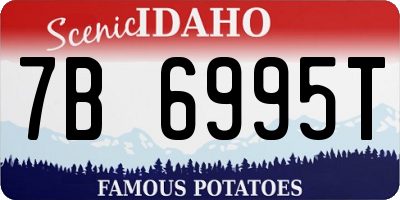 ID license plate 7B6995T