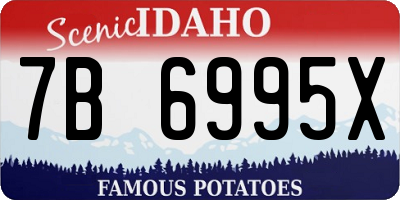 ID license plate 7B6995X