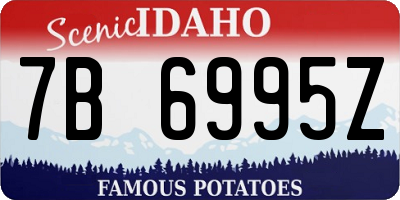 ID license plate 7B6995Z