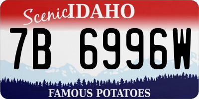 ID license plate 7B6996W
