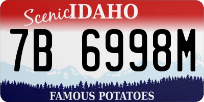 ID license plate 7B6998M