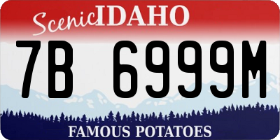 ID license plate 7B6999M