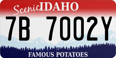 ID license plate 7B7002Y