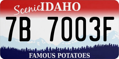 ID license plate 7B7003F