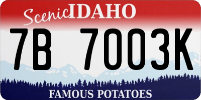 ID license plate 7B7003K